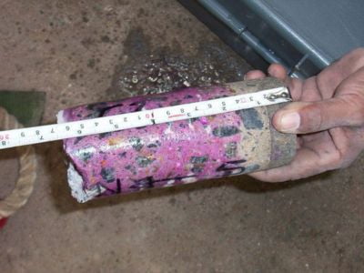 Carbonation Test (NDT services)